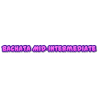 Bachata Mid‑Intermediate